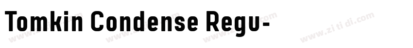 Tomkin Condense Regu字体转换 Tomkin Condense Regu字体转换